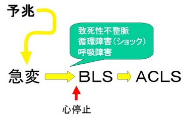 急変の気づき〜BLS〜ACLS